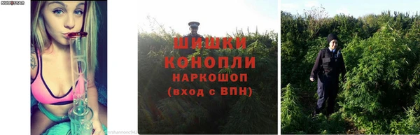 амф Богданович